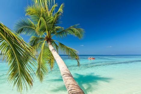 САЩ - Западно крайбрежиe, с круиз по Бахамите 10.07.2026, 14.08.2026