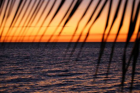 КУБА И ЯМАЙКА- II вар. 16.01.2026, 06.02.2026, 13.03.2026, 08.04.2026, 04.05.2026, 20.11.2026, 08.12.2026