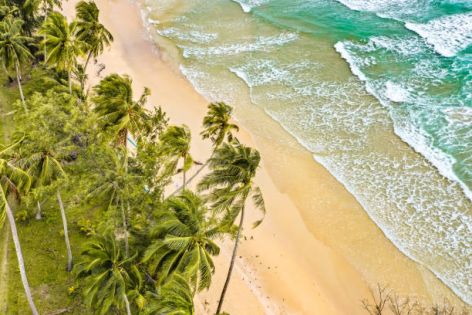 Почивка Доминикана 26.12.2025