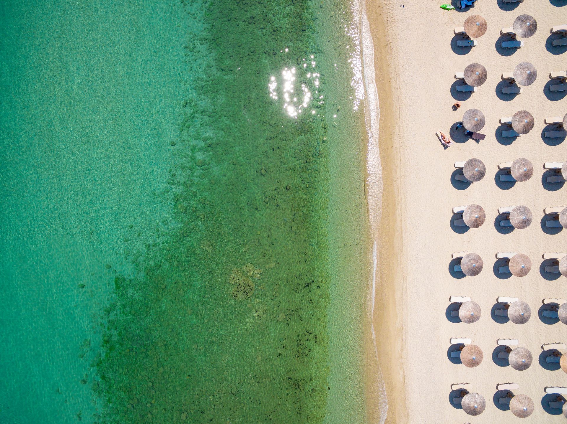 Kassandra Palace Seaside Resort