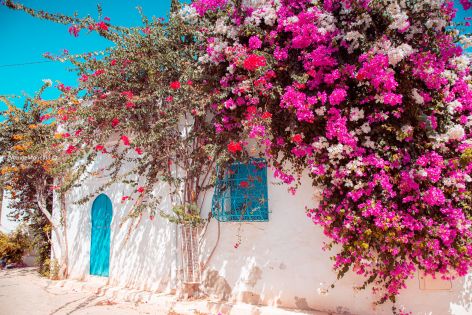 Почивка на о-в Джерба, Тунис със самолет от София във Вторник - 7 нощувки