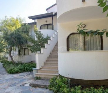 DOGAN PARADISE BEACH